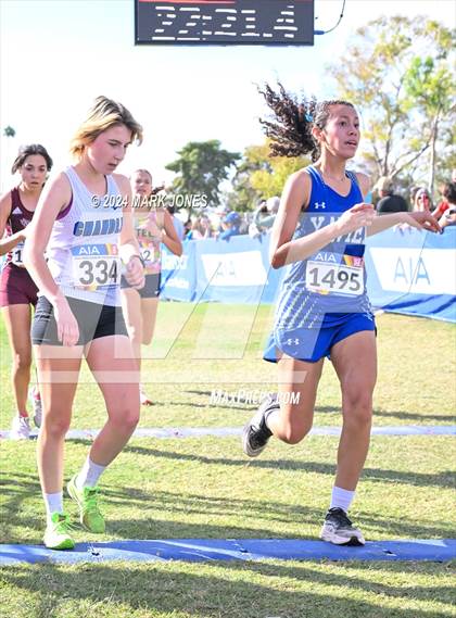 Thumbnail 1 in AIA Division I Championships photogallery.