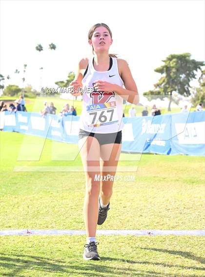 Thumbnail 1 in AIA Division I Championships photogallery.
