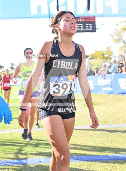 Thumbnail 1 in AIA Division I Championships photogallery.