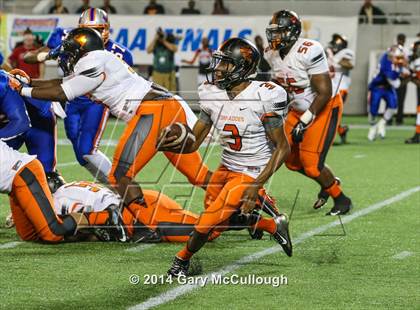 Thumbnail 1 in Bolles vs. Washington (FHSAA 4A Final) photogallery.