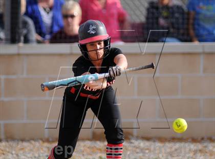 Thumbnail 3 in Nashville @ DuQuoin photogallery.