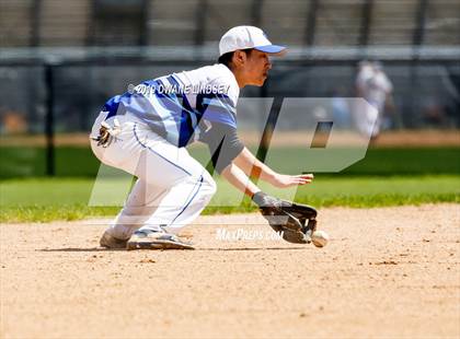 Thumbnail 1 in Wheeling @ Hersey photogallery.