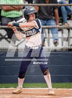 Photo from the gallery "Live Oak @ St. John"