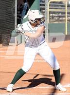 Photo from the gallery "Casteel @ Horizon"