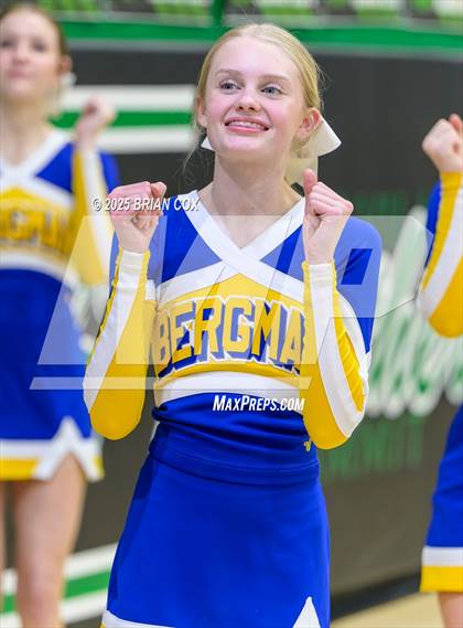 Thumbnail 3 in Bergman @ Yellville-Summit photogallery.