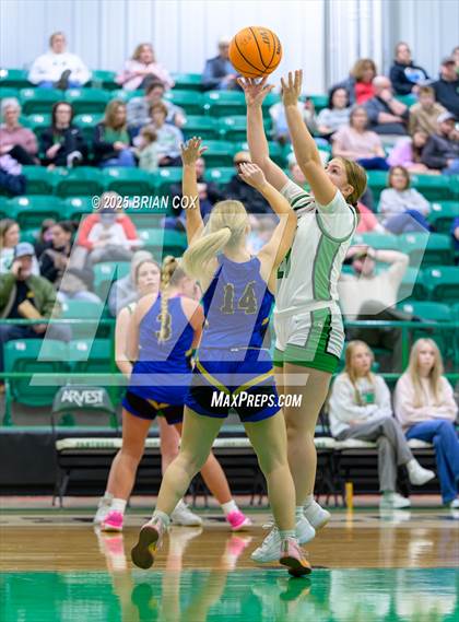 Thumbnail 2 in Bergman @ Yellville-Summit photogallery.