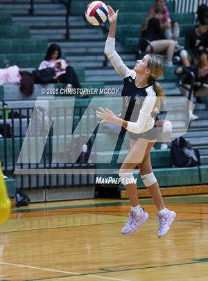 Manatee @ Lakewood Ranch