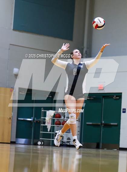 Thumbnail 3 in FR: Manatee @ Lakewood Ranch photogallery.