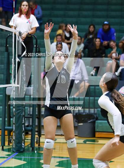 Thumbnail 3 in FR: Manatee @ Lakewood Ranch photogallery.