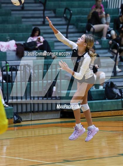 Thumbnail 3 in FR: Manatee @ Lakewood Ranch photogallery.