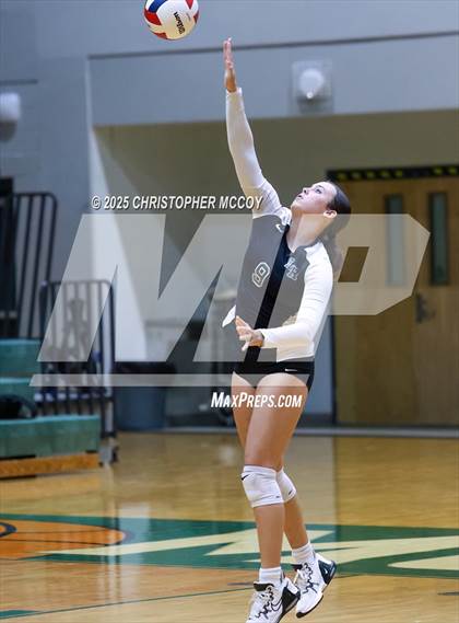 Thumbnail 1 in FR: Manatee @ Lakewood Ranch photogallery.