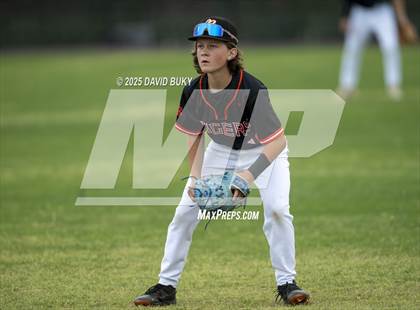 Thumbnail 3 in Meridian @ Brentsville District photogallery.