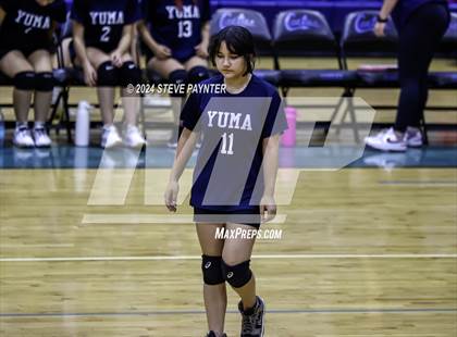 Thumbnail 1 in Yuma vs Cactus photogallery.