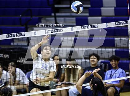Thumbnail 1 in Yuma vs Cactus photogallery.