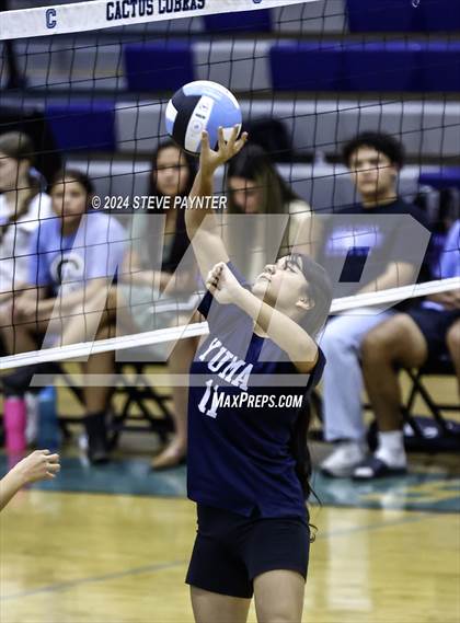 Thumbnail 2 in Yuma vs Cactus photogallery.