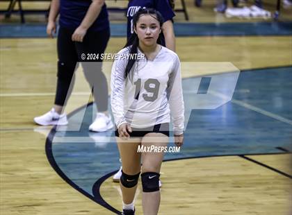 Thumbnail 2 in Yuma vs Cactus photogallery.
