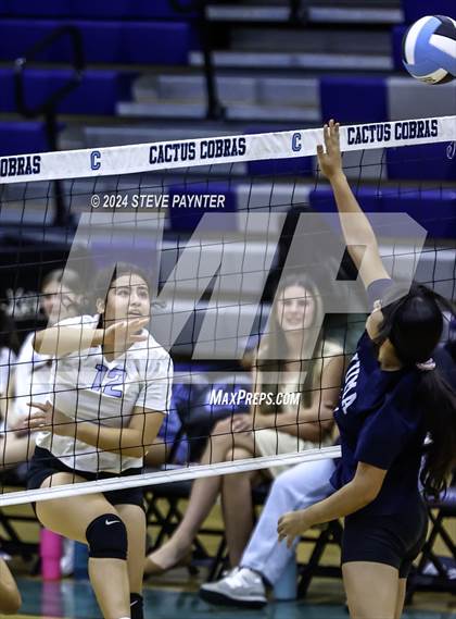 Thumbnail 3 in Yuma vs Cactus photogallery.