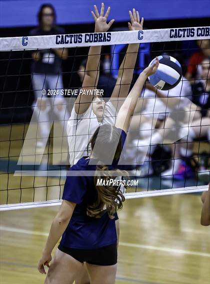Thumbnail 1 in Yuma vs Cactus photogallery.