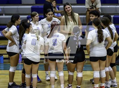 Thumbnail 2 in Yuma vs Cactus photogallery.