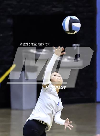 Thumbnail 2 in Yuma vs Cactus photogallery.