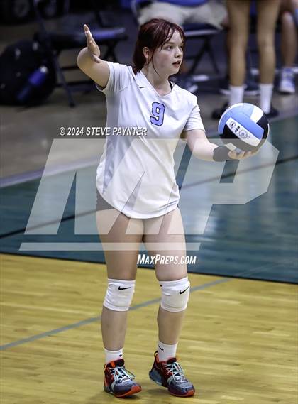 Thumbnail 2 in Yuma vs Cactus photogallery.