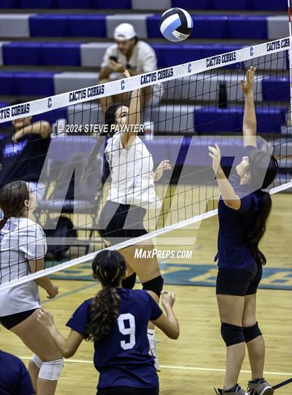 Thumbnail 1 in Yuma vs Cactus photogallery.