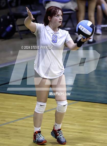 Thumbnail 3 in Yuma vs Cactus photogallery.