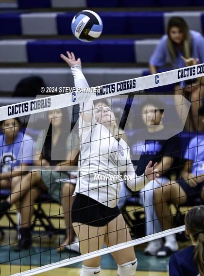 Thumbnail 2 in Yuma vs Cactus photogallery.