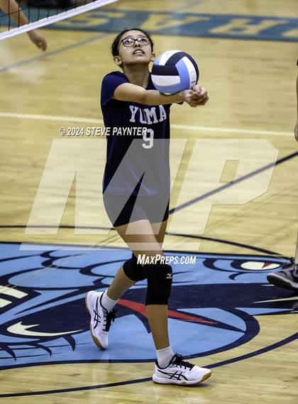Thumbnail 3 in Yuma vs Cactus photogallery.