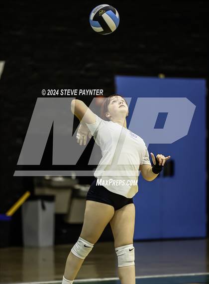 Thumbnail 2 in Yuma vs Cactus photogallery.