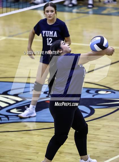 Thumbnail 3 in Yuma vs Cactus photogallery.