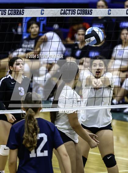 Thumbnail 1 in Yuma vs Cactus photogallery.