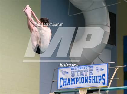 Thumbnail 2 in CHSAA 5A Dive Finals photogallery.