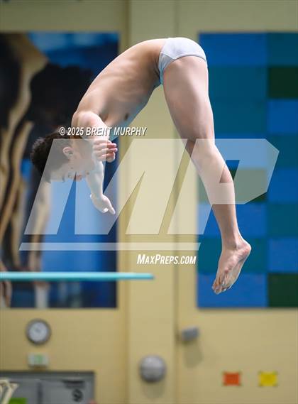Thumbnail 1 in CHSAA 5A Dive Finals photogallery.