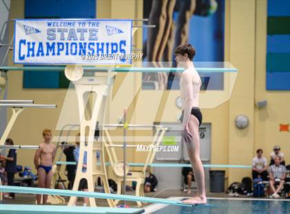 Thumbnail 3 in CHSAA 5A Dive Finals photogallery.