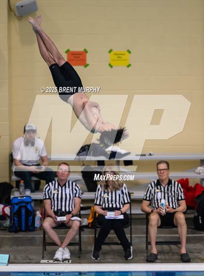 Thumbnail 3 in CHSAA 5A Dive Finals photogallery.