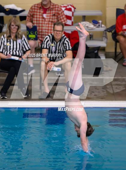 Thumbnail 1 in CHSAA 5A Dive Finals photogallery.