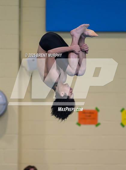 Thumbnail 1 in CHSAA 5A Dive Finals photogallery.