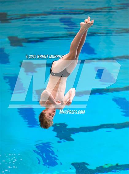 Thumbnail 1 in CHSAA 5A Dive Finals photogallery.
