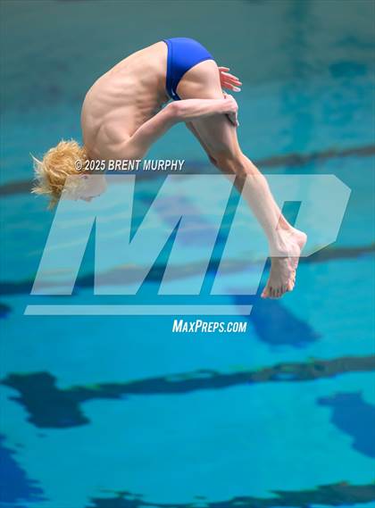 Thumbnail 1 in CHSAA 5A Dive Finals photogallery.