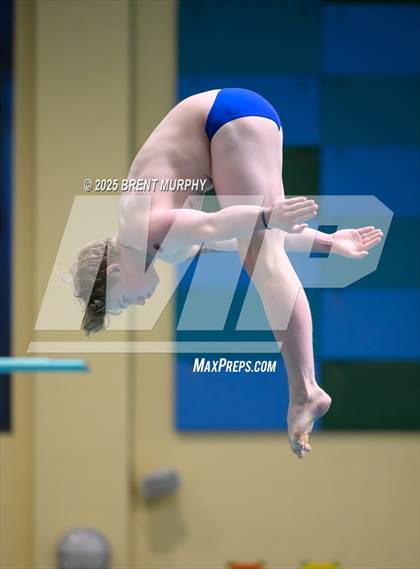 Thumbnail 2 in CHSAA 5A Dive Finals photogallery.