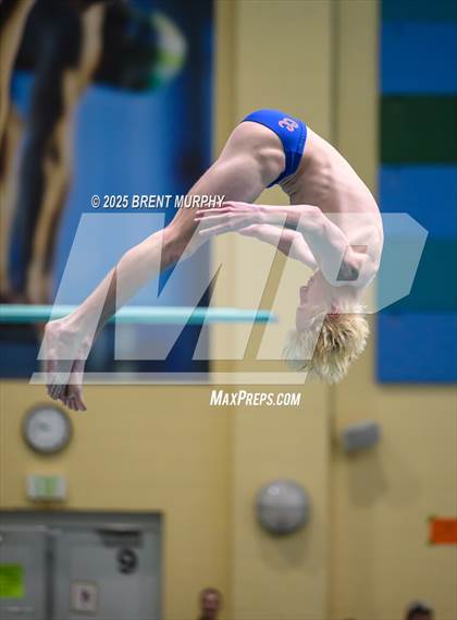 Thumbnail 3 in CHSAA 5A Dive Finals photogallery.