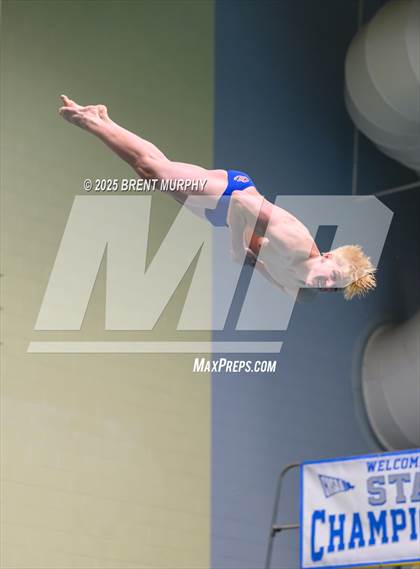 Thumbnail 1 in CHSAA 5A Dive Finals photogallery.