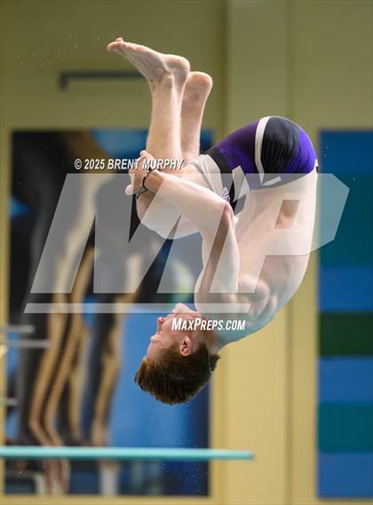 Thumbnail 3 in CHSAA 5A Dive Finals photogallery.