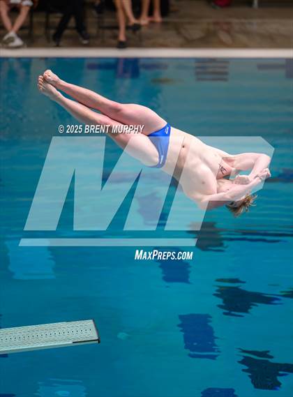 Thumbnail 2 in CHSAA 5A Dive Finals photogallery.
