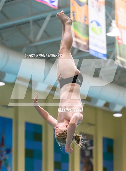 Thumbnail 3 in CHSAA 5A Dive Finals photogallery.