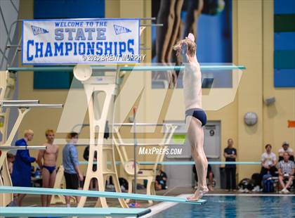 Thumbnail 3 in CHSAA 5A Dive Finals photogallery.