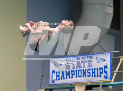 Thumbnail 1 in CHSAA 5A Dive Finals photogallery.