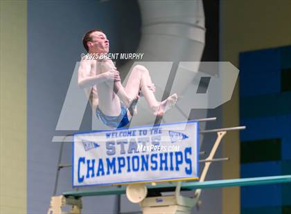 Thumbnail 3 in CHSAA 5A Dive Finals photogallery.