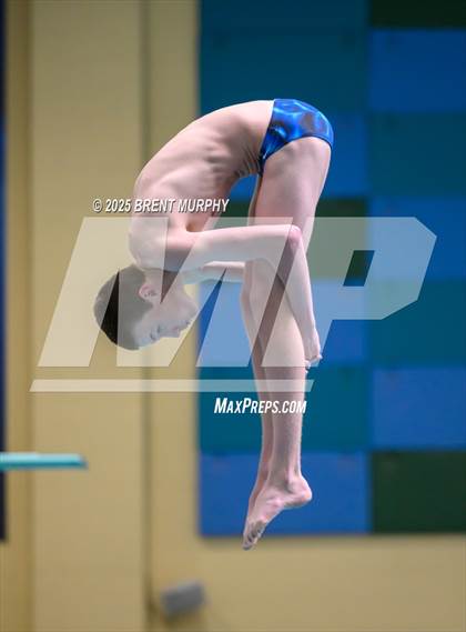 Thumbnail 2 in CHSAA 5A Dive Finals photogallery.